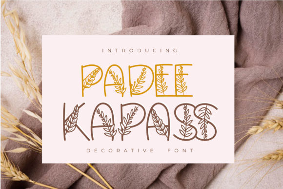 Padee Kapass: A Decorative Font for Impactful Design