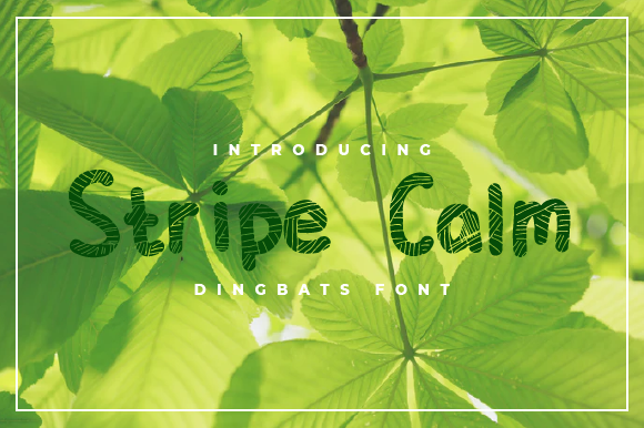 Stripe Calm: A Font for Creative Clarity