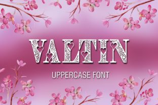 Valtin: A Creative Font for Business Branding